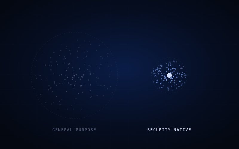 Spharaka diagram: a general-purpose model spread thin against a domain-trained one.